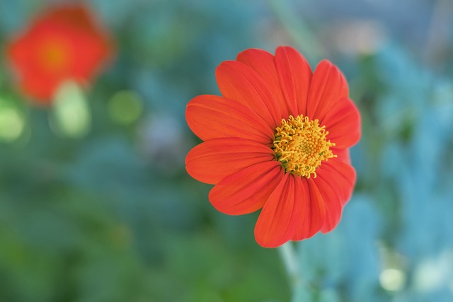 良好的平衡 良好的平衡