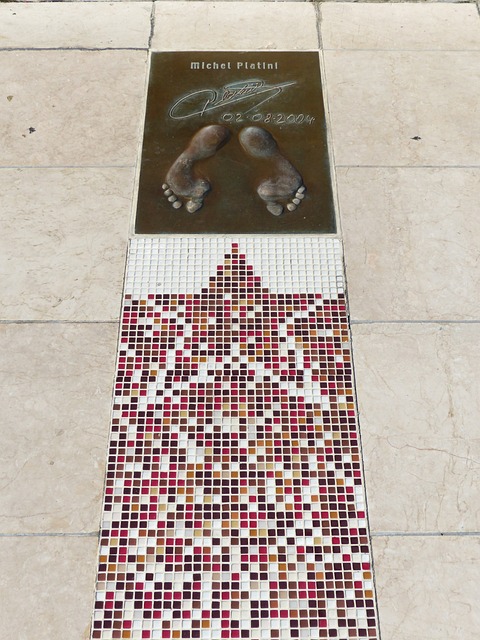 者提供了一 者提供了一