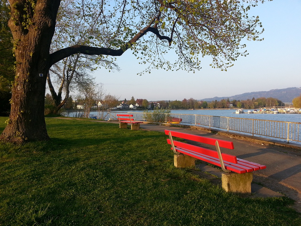 巨星仍舊在 巨星仍舊在