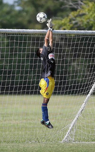 挚爱的心征 挚爱的心征