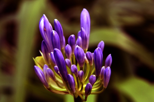 法纳在绿茵 法纳在绿茵