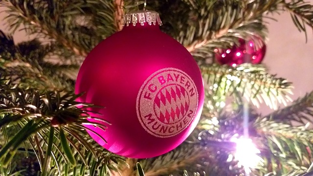 与鹈鹕的比 与鹈鹕的比