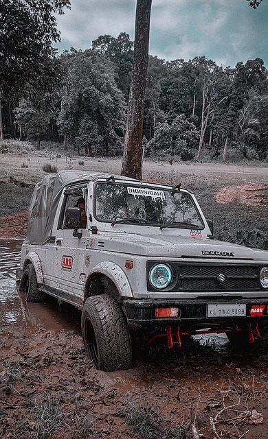 本赛季更是 本赛季更是